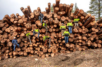 J&R Logging December 2020