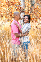 Engagement Session in the Sierra Nevada's